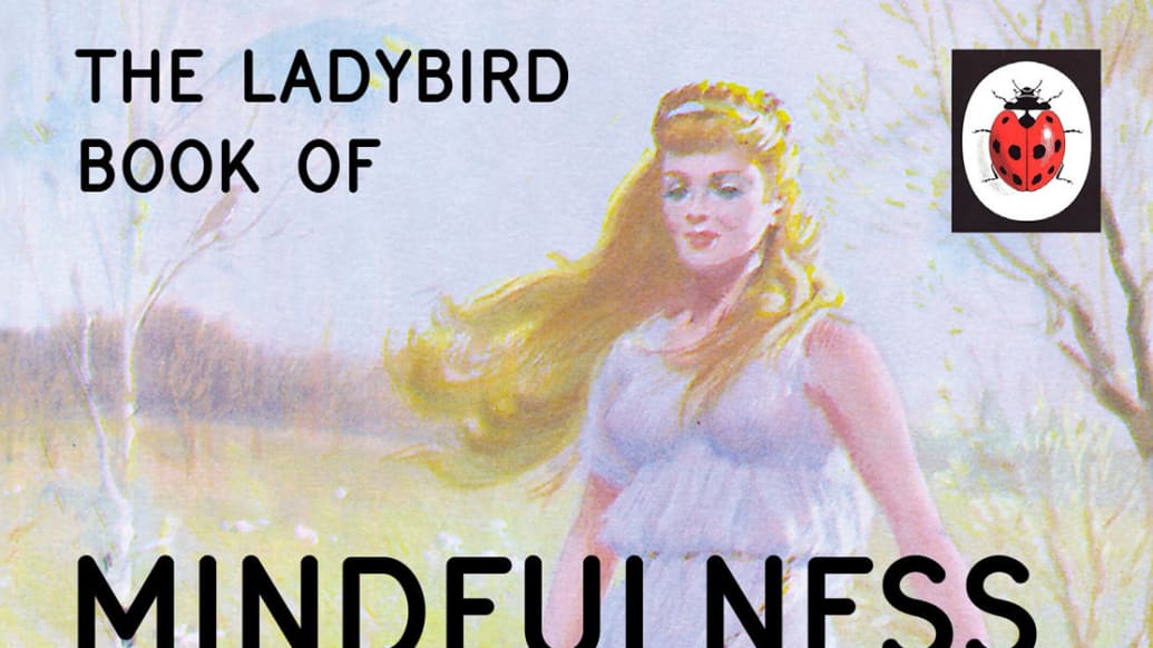 The Ladybird Book Covers Grown Up Edition PHOTOS