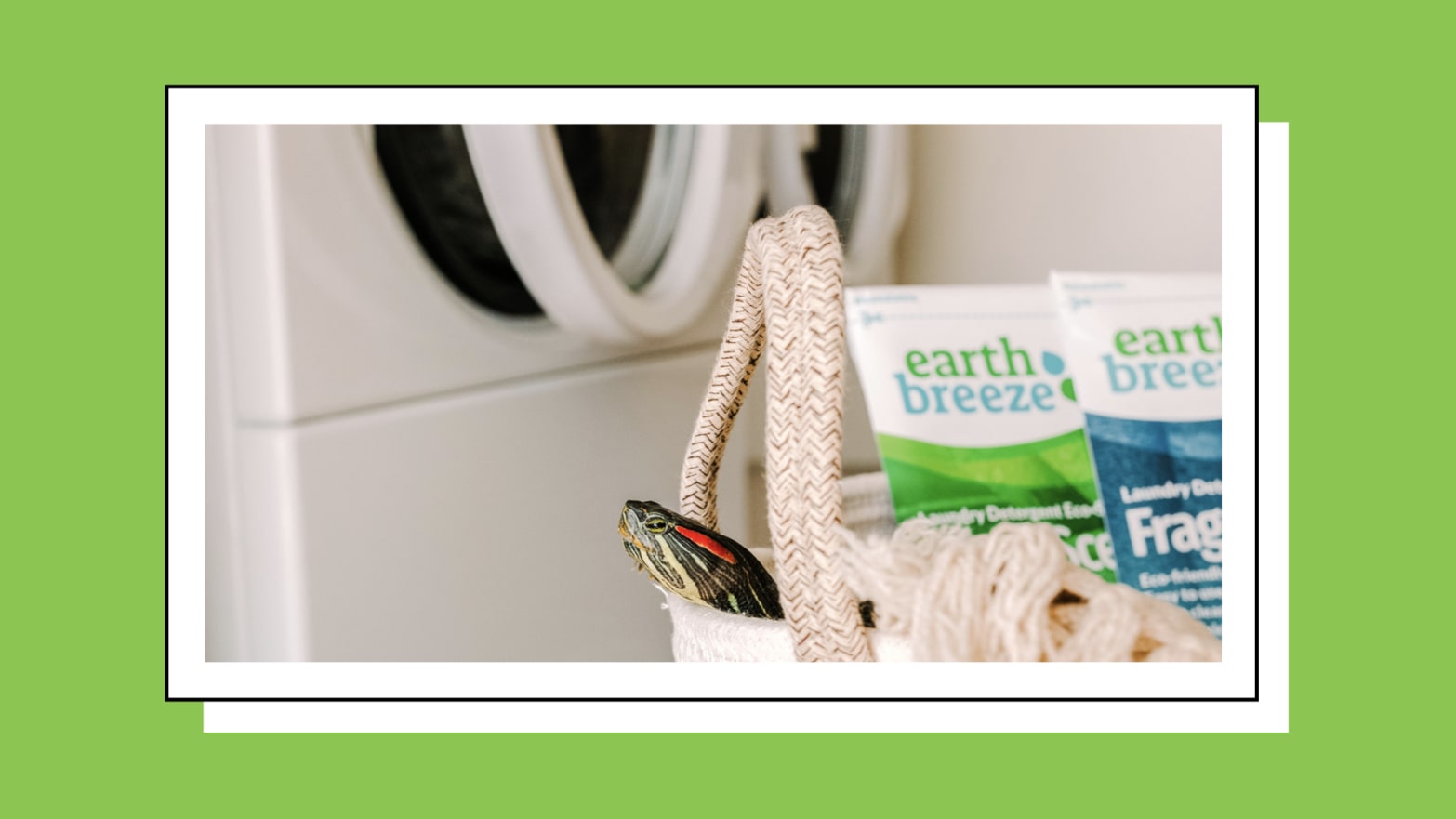 Earth Breeze Laundry Detergent Sheets Are Easy to Use and Eco-Friendly