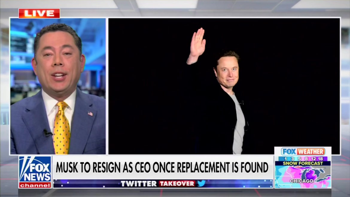 Fox Pundit Loses It Over Twitter Voting Elon Out: ‘Are You Stupid?!’