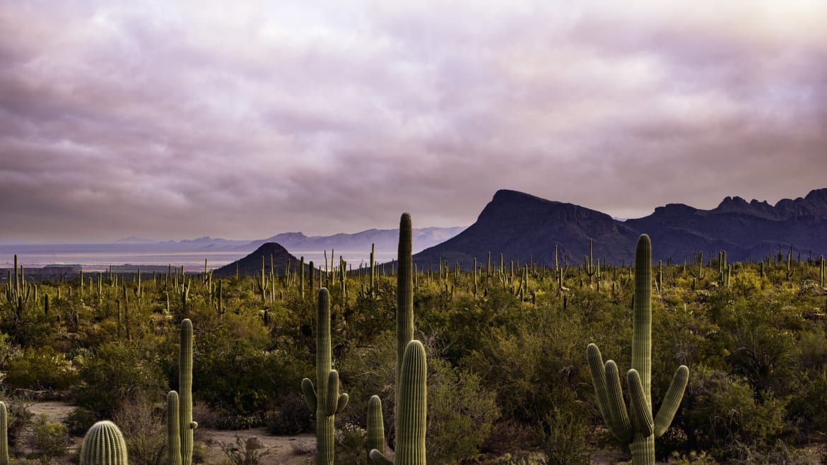Cyclist Stumbles Upon Suitcase Stuffed With Missing Woman’s Body in Arizona Desert