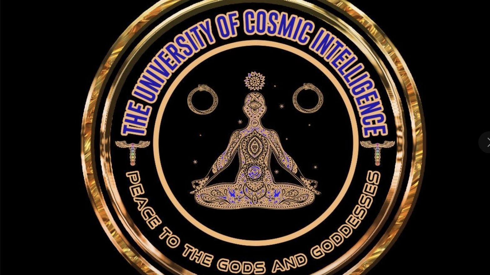 The logo of the so-called University of Cosmic Intelligence, which alleged cult leader Rashad Jamal uses to preach to followers online from behind bars. 