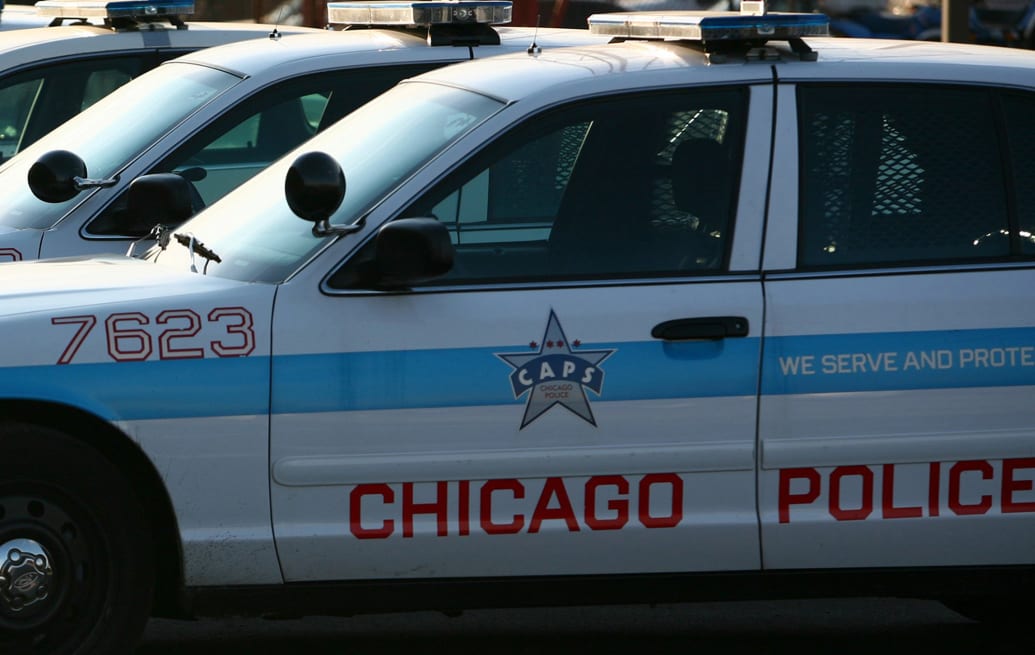 A photo of several parked Chicago Police Department patrol cars.