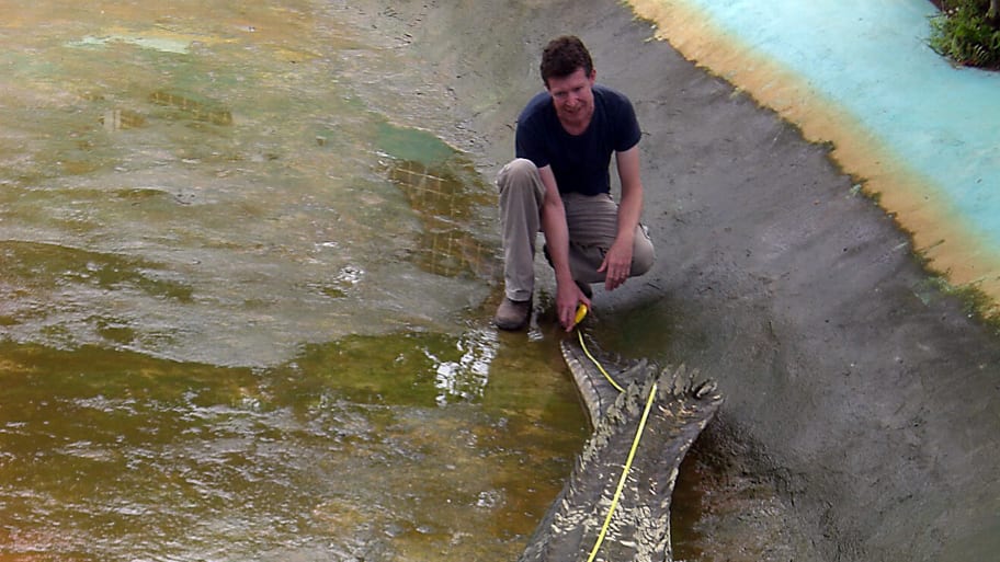 Australian zoologist  Adam Britton measures a captive crocodile in 2011.