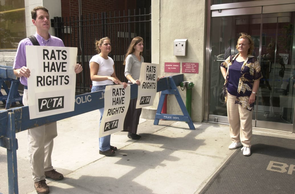 Protesters from People for the Ethical Treatment of Animals (PETA) demonstrate outside of the CBS.