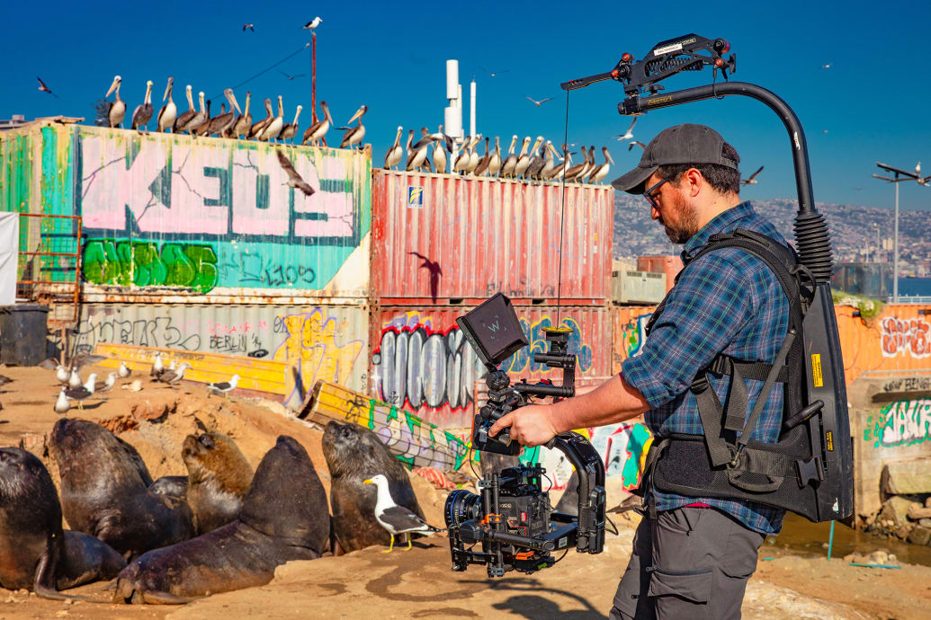 Camera Operator Christiaan Munoz-Salas gets up close and personal with South American sealions.