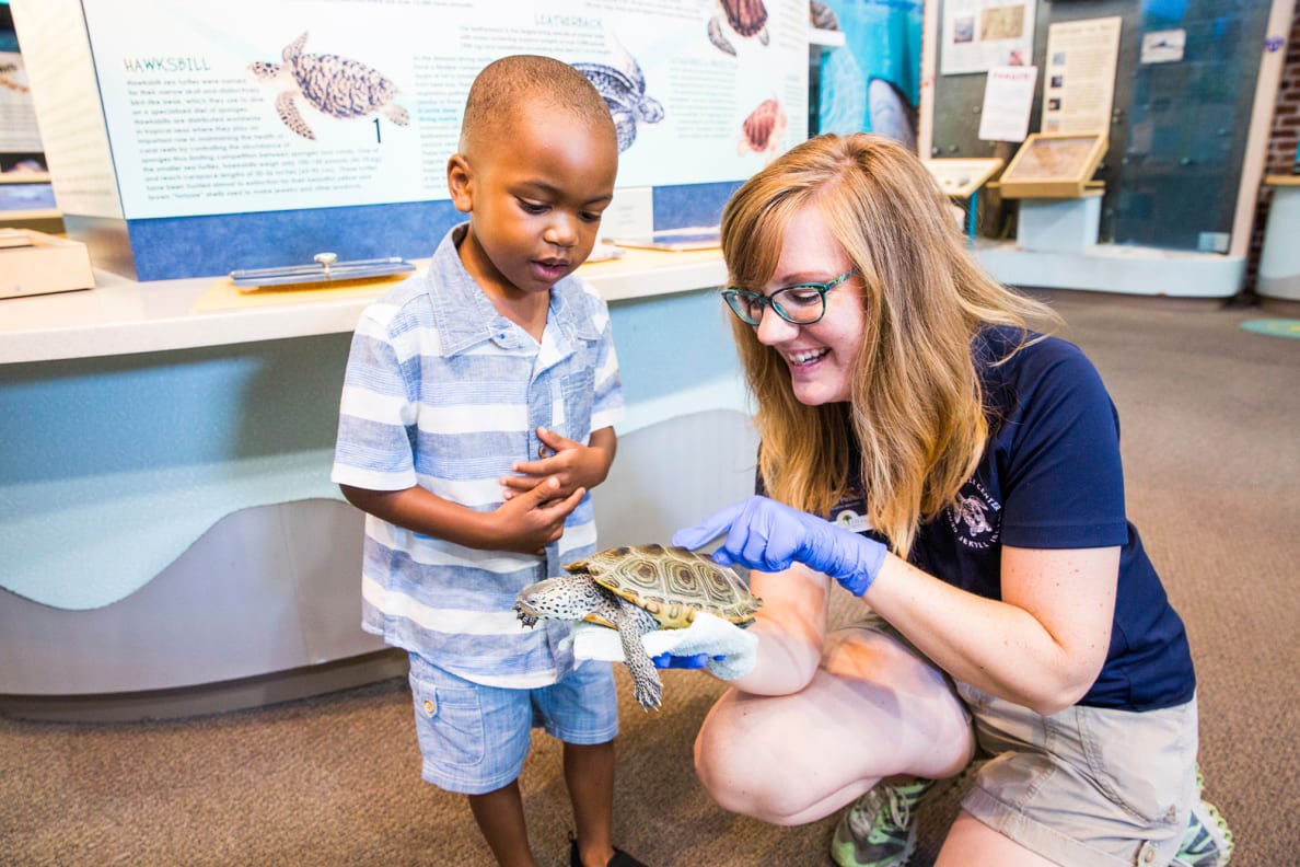 A child and Georgia Sea Turtle Center worker look at a sea turtle at the Georgia Sea Turtle Center on Jekyll Island.