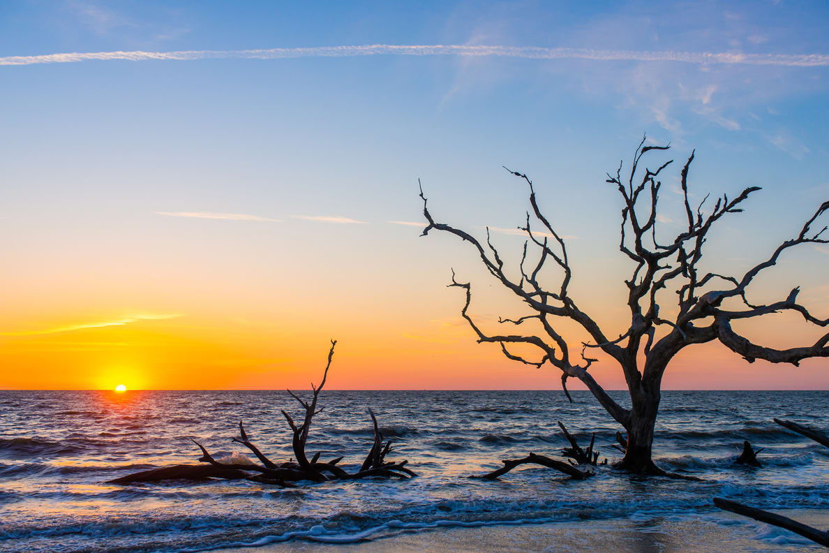 A sunset photo of driftwood on the beach on Jekyll Island.