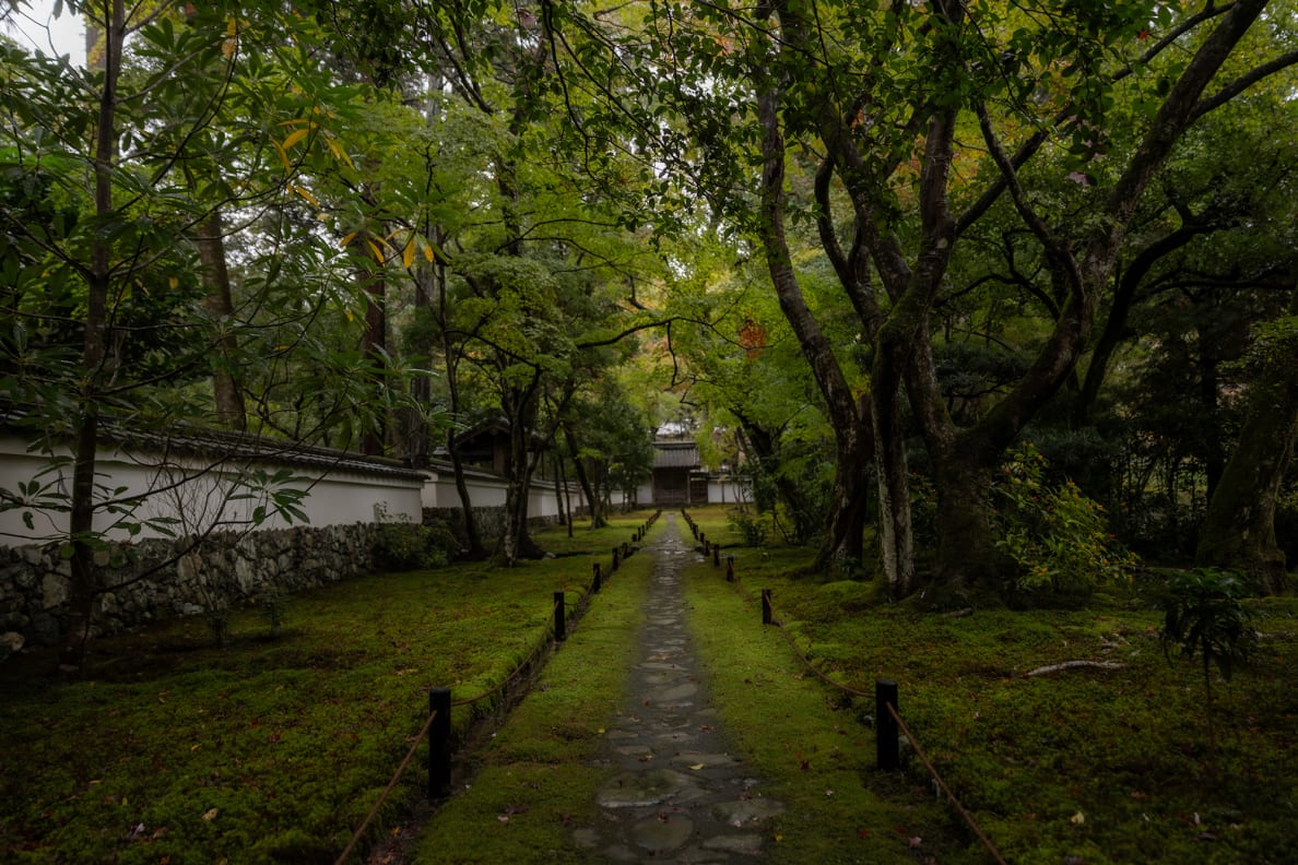 A photo of Kokedera Kyoto garden in Japan.
