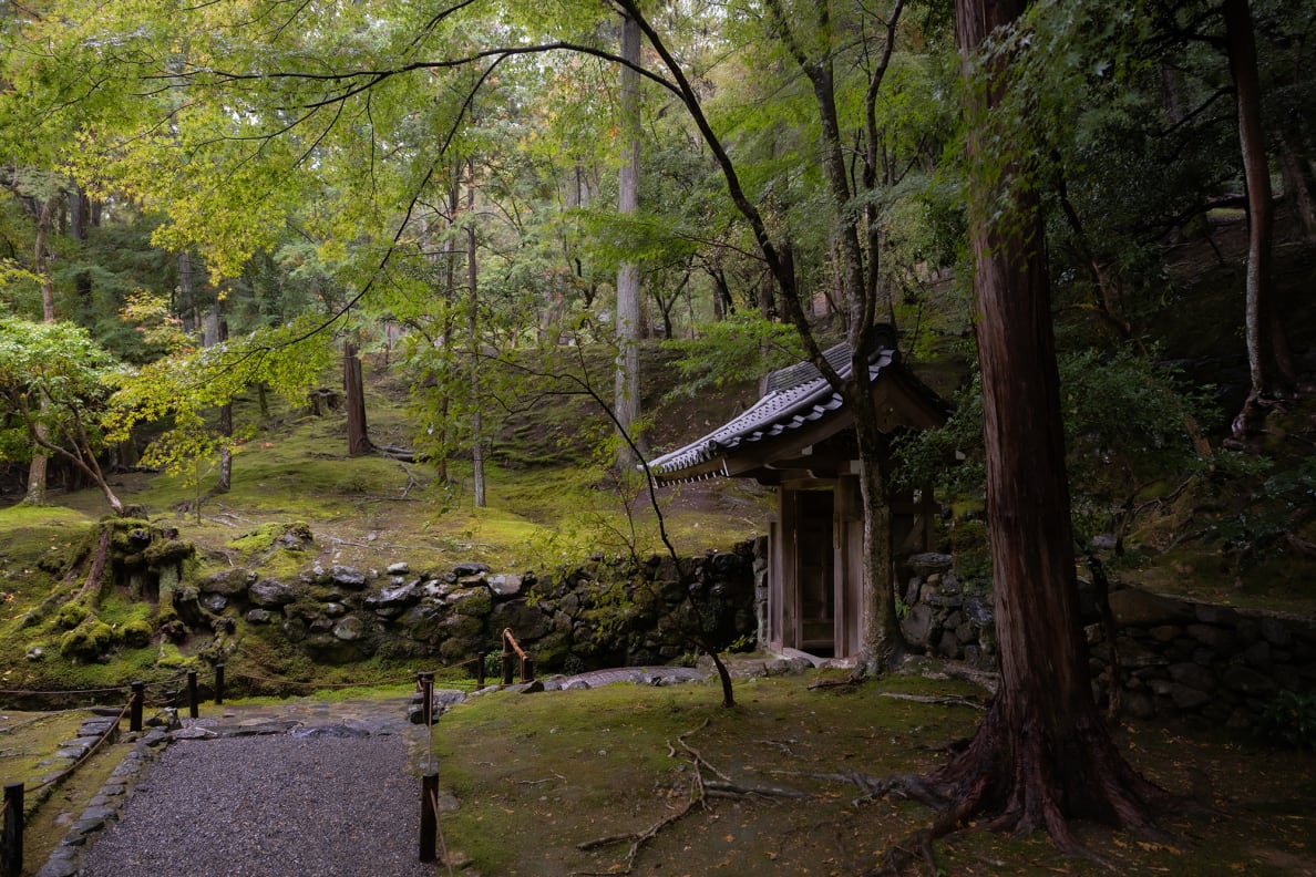 A photo of Kokedera Kyoto garden in Japan.
