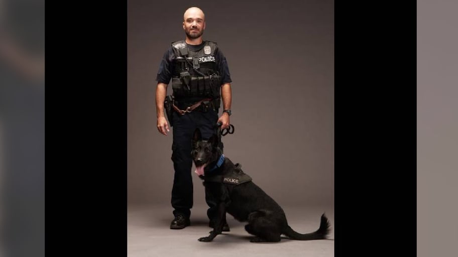 A Kansas City Police officer and his K-9 were killed in a crash Wednesday night along with a pedestrian in his 50s. 