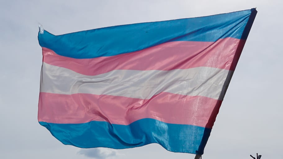 An activist of the LGBT+ community waves a transgender flag.