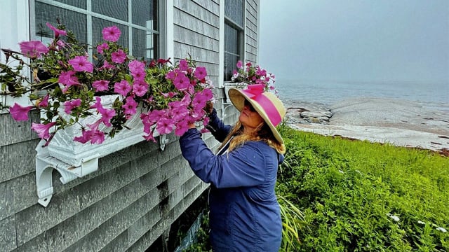 A photograph of Charlotte Gale tending to her flowers outside her cabin on Duck Ledges Island in Maine’s Wohoa Bay.