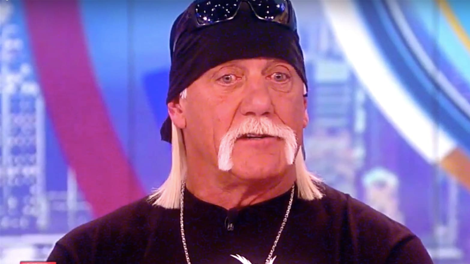 ‘The View’ Confronts Hulk Hogan About Racist Slurs After Gawker Verdict