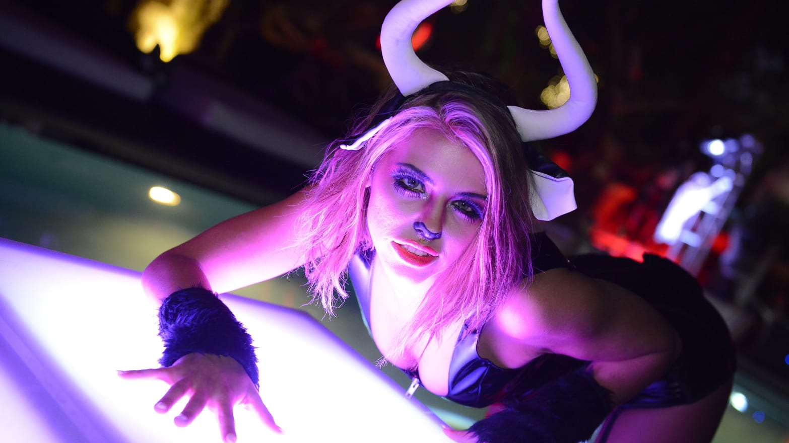 Pornstar Costume Porn - My Wild and Crazy Porn Star Halloween