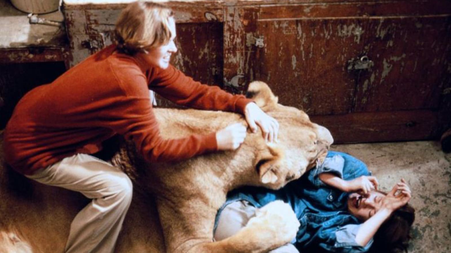 Exclusive Watch A Lion Maul Melanie Griffith In ‘roar