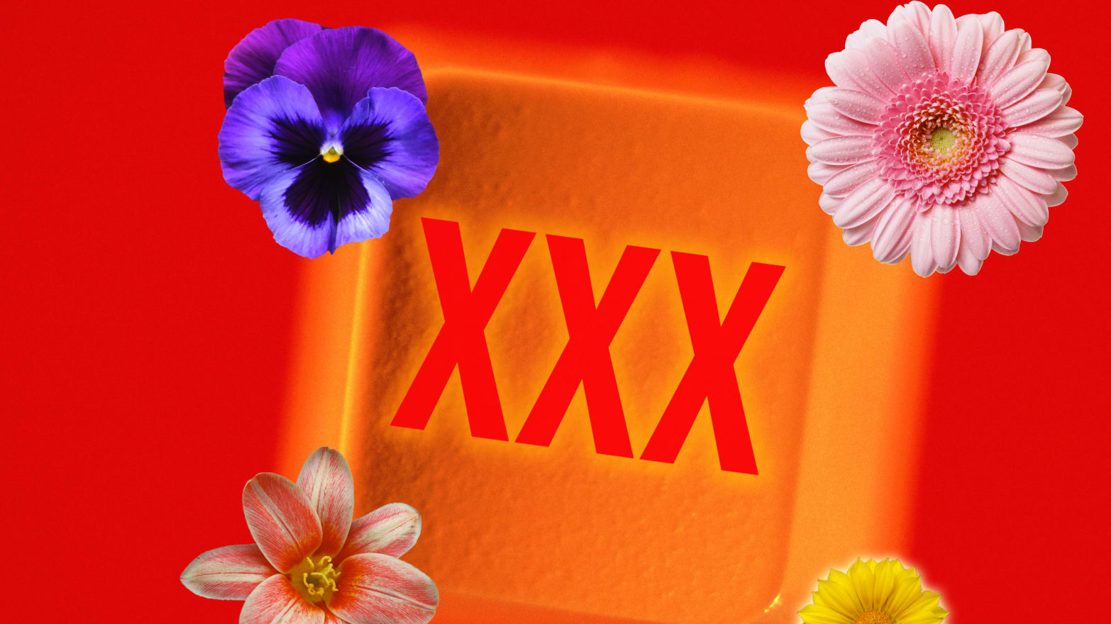 Xxx Pols - Defining Feminist Porn: Is That XXX Flick Organic?