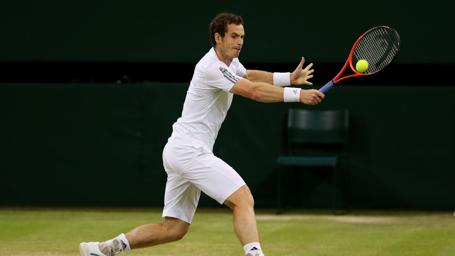 12 Things You Didn’t Know About the Quirky Stars of Wimbledon1566 x 880