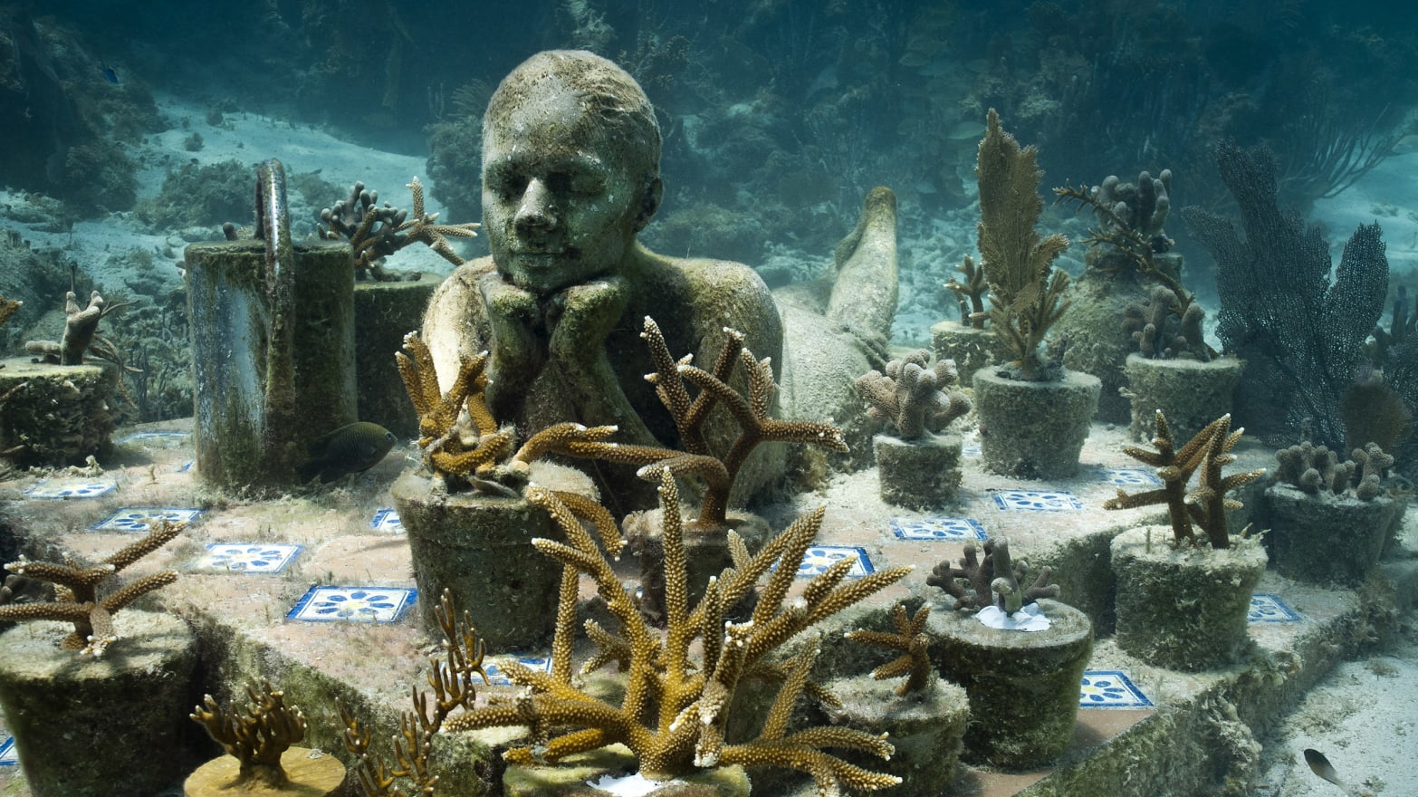nicotine Geef rechten Hopelijk Artist Jason deCaires Taylor's Underwater Sculptures Are a Sight to Sea