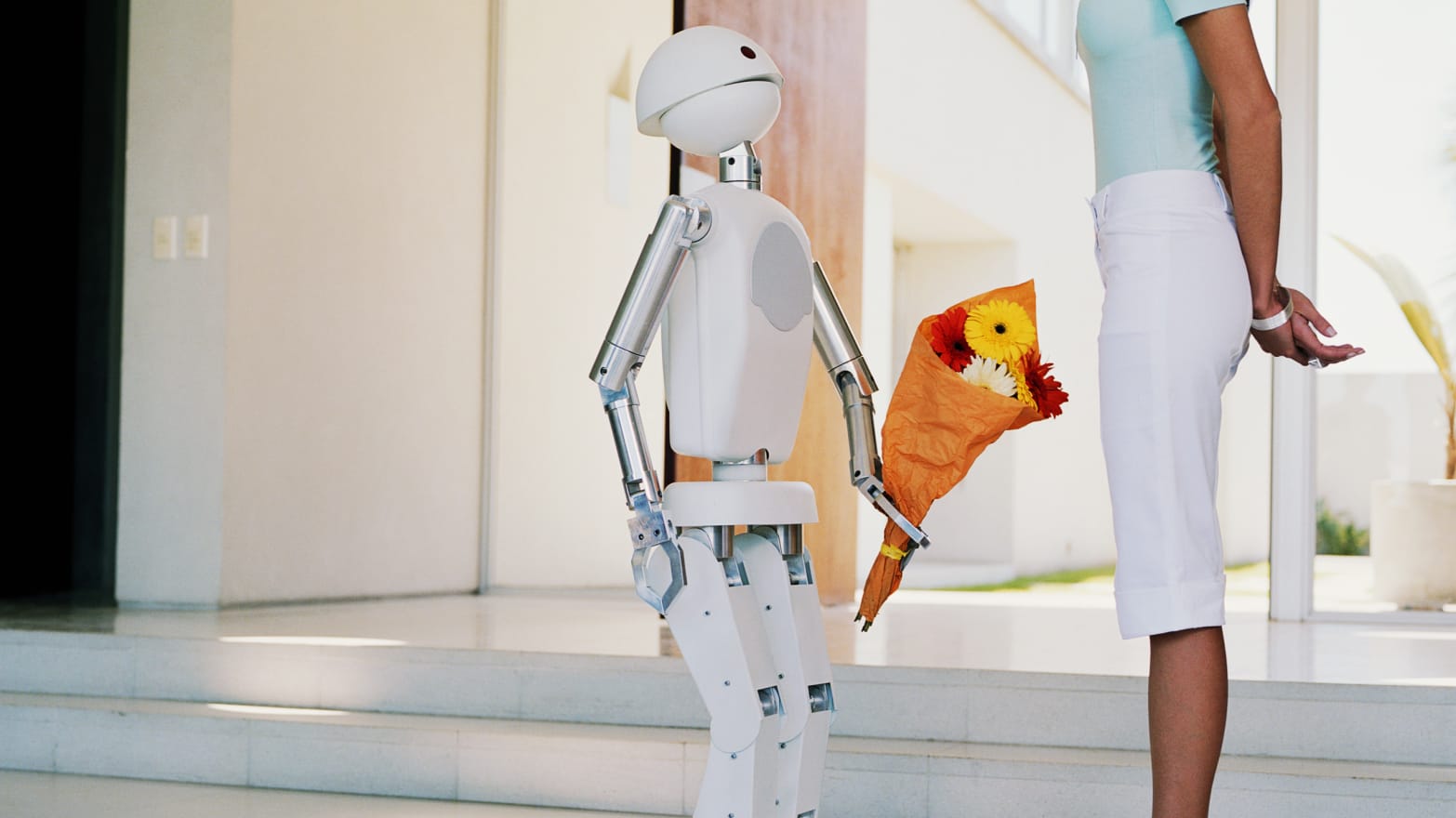 Can Robots Fall in Love, and Why Would They? image pic