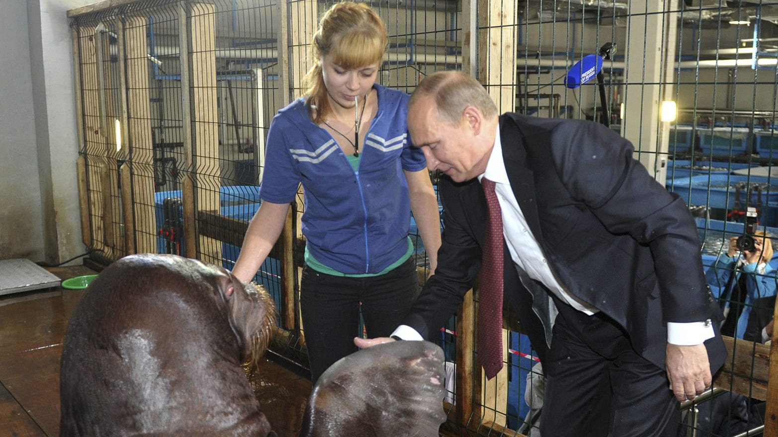 17 Photos of Putin Schmoozing With Animals (Photos)