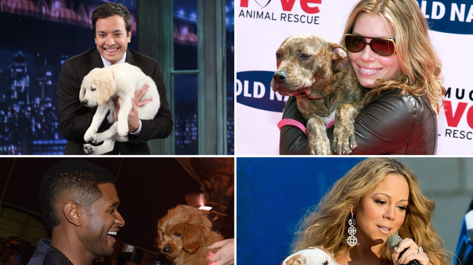 Famous Celebrity Dogs