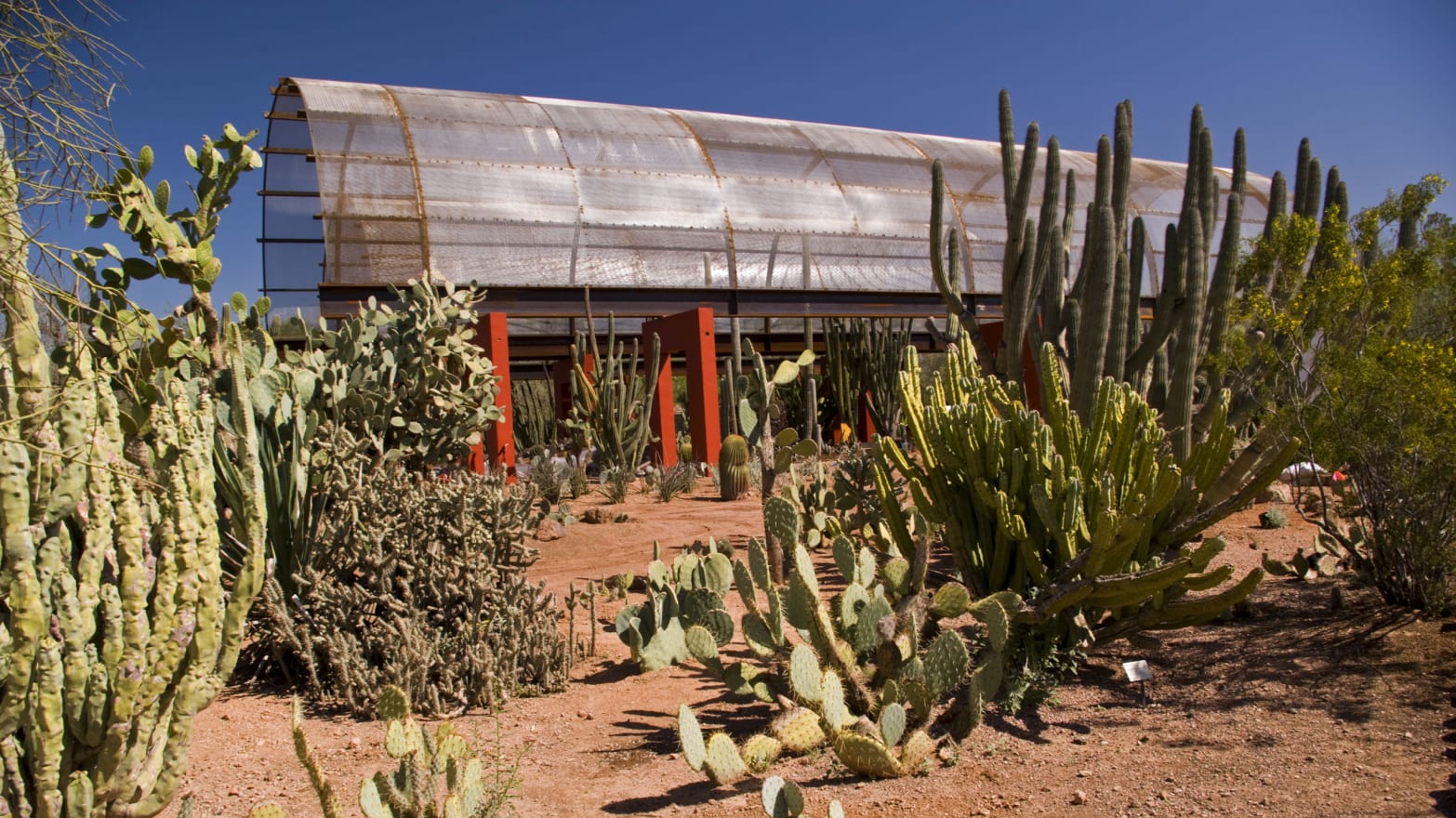 Arizona S Treasured Desert Botanical Garden