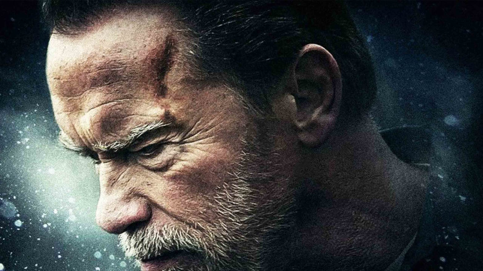 Making Arnold Schwarzenegger Great Again