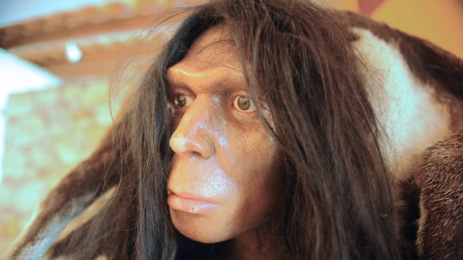 Neanderthal Dna Found In Humans