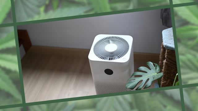 Best air purifiers for smoking weed