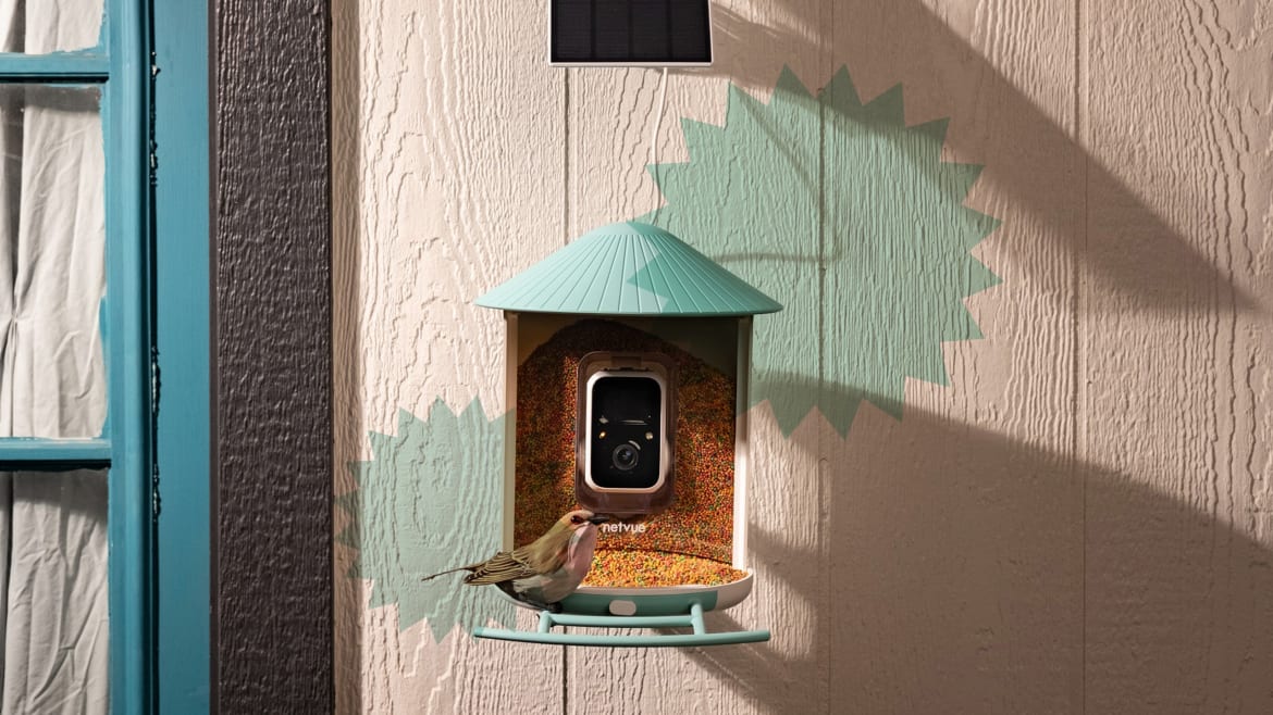 This Smart Bird Feeder Uses AI To Identify Over 6,000 Bird Species