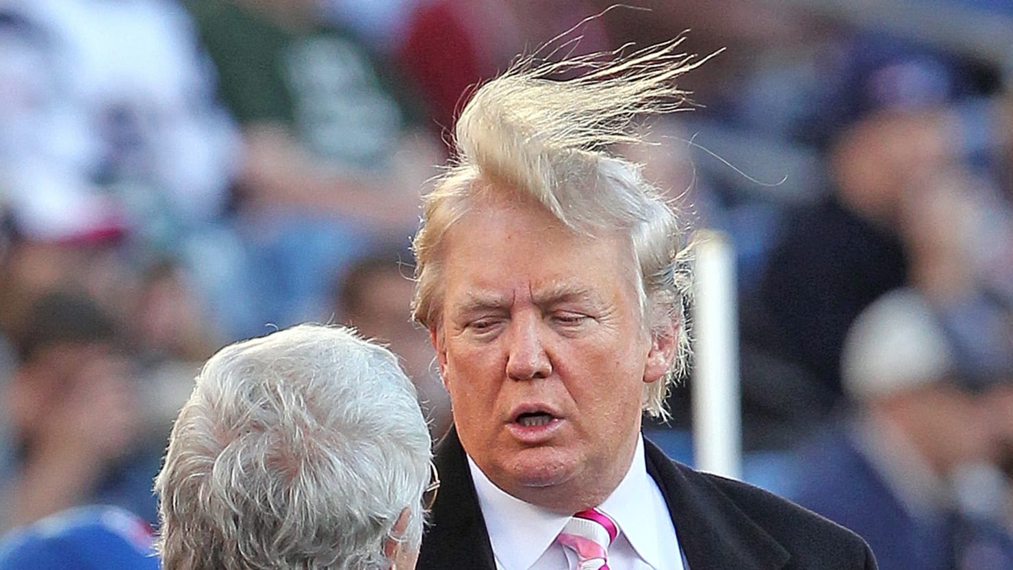 Носит ли парик дональд трамп