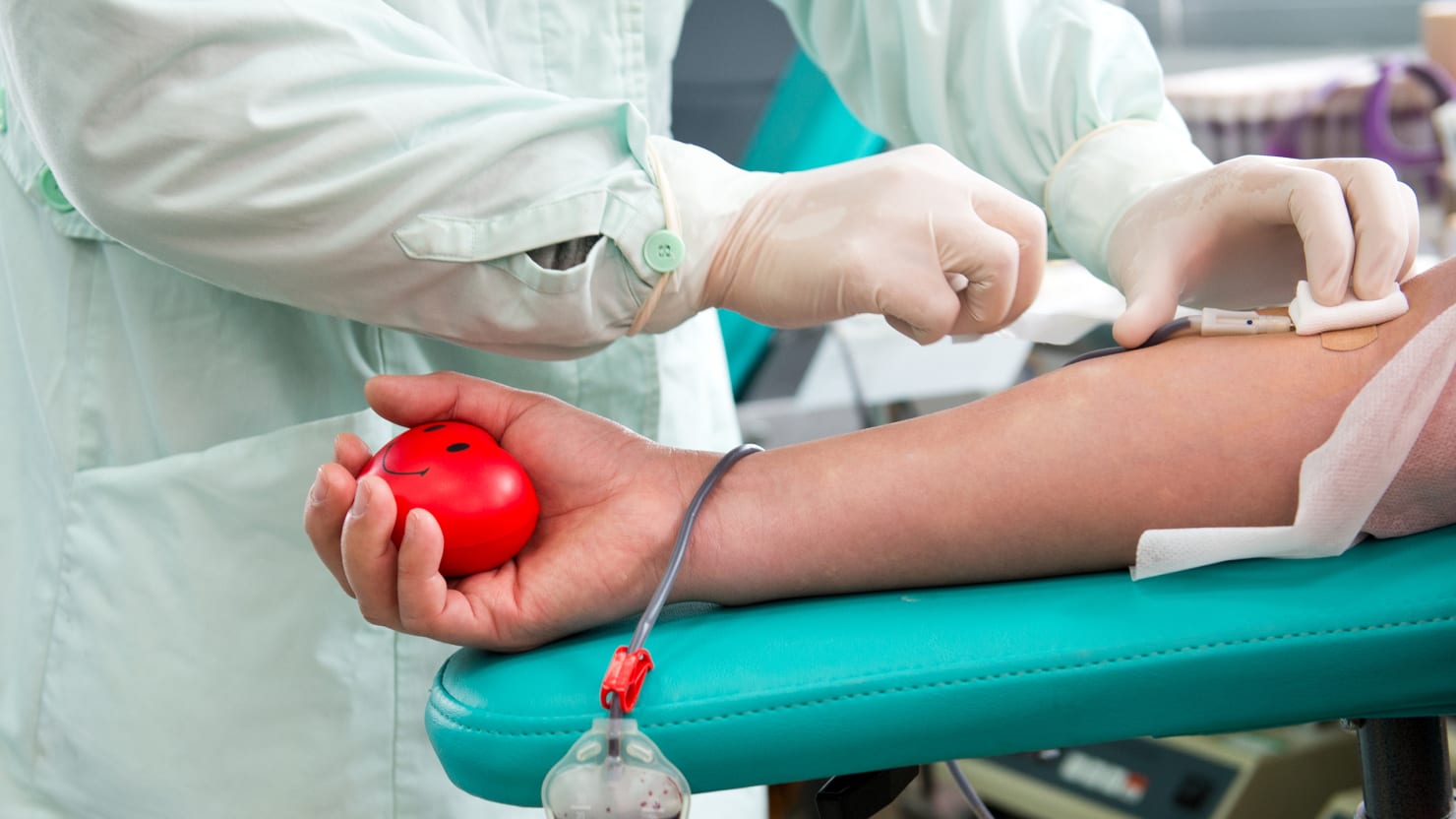 FDA’s Blood Donation Rules Out Trans People - 1480 x 832 jpeg 95kB