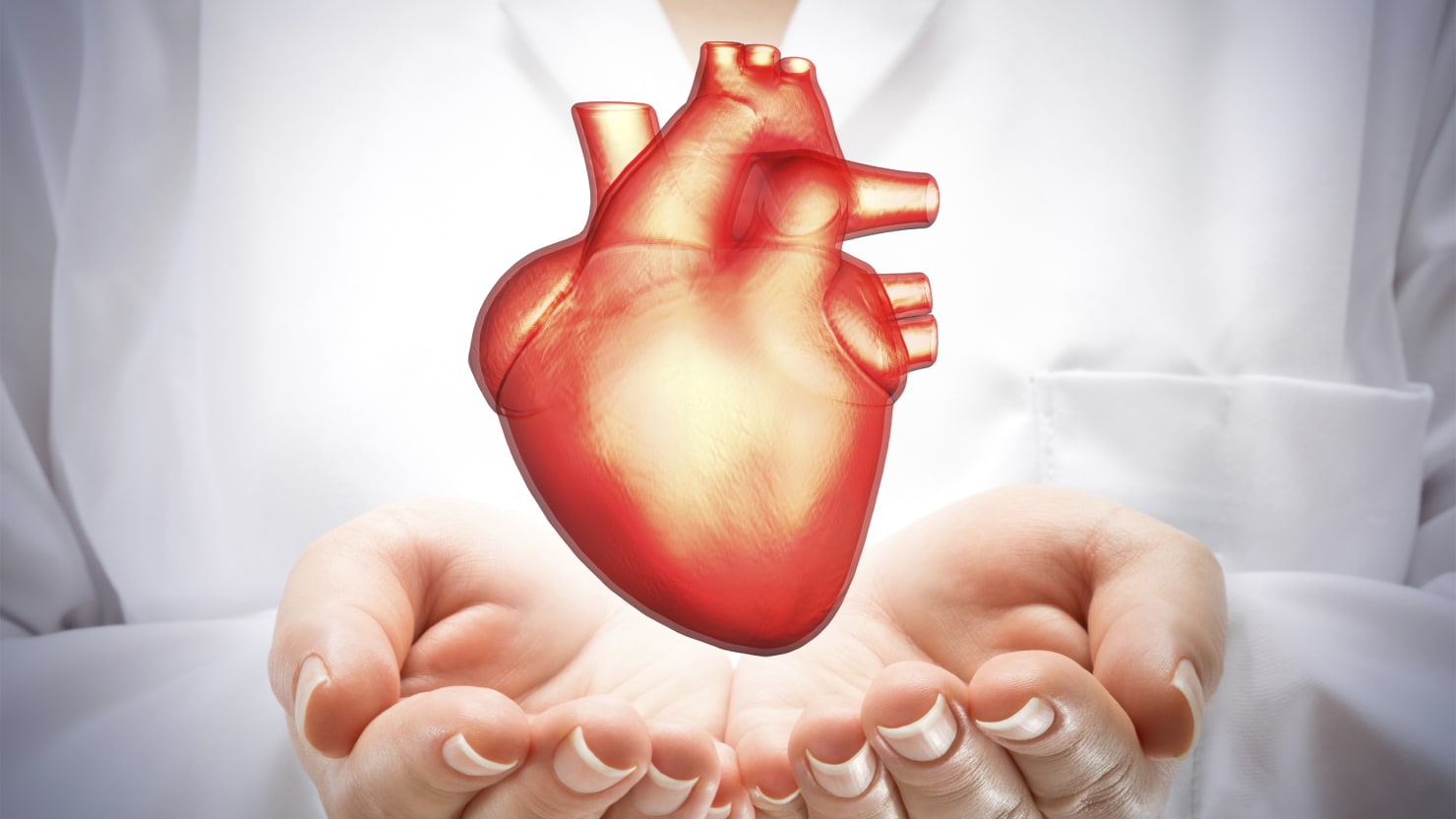 Heart Transplant Research and Investigative Studies