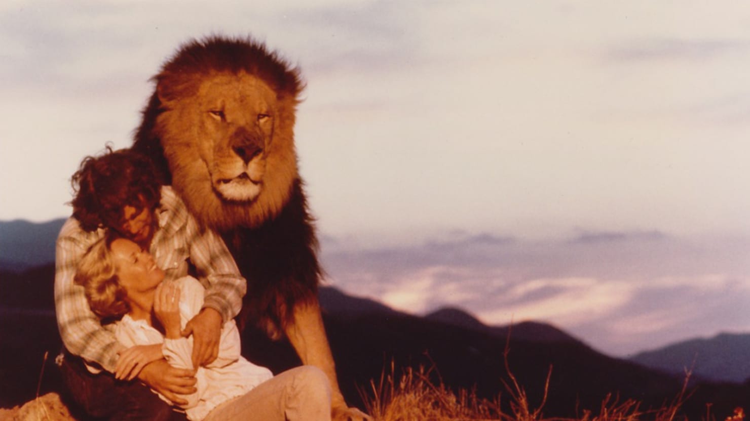 Roar': The Most Dangerous Movie Ever Made