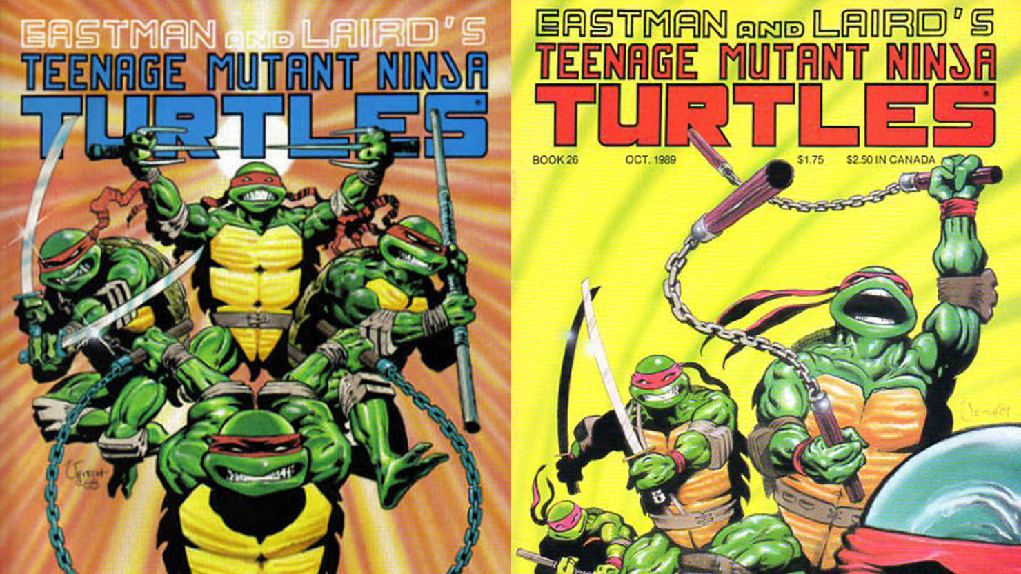 A Political History of the 'Teenage Mutant Ninja Turtles