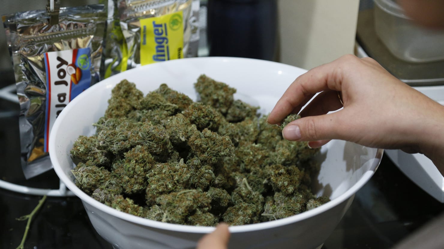 Как приготовить наркотики из конопли марихуана в хельсинки