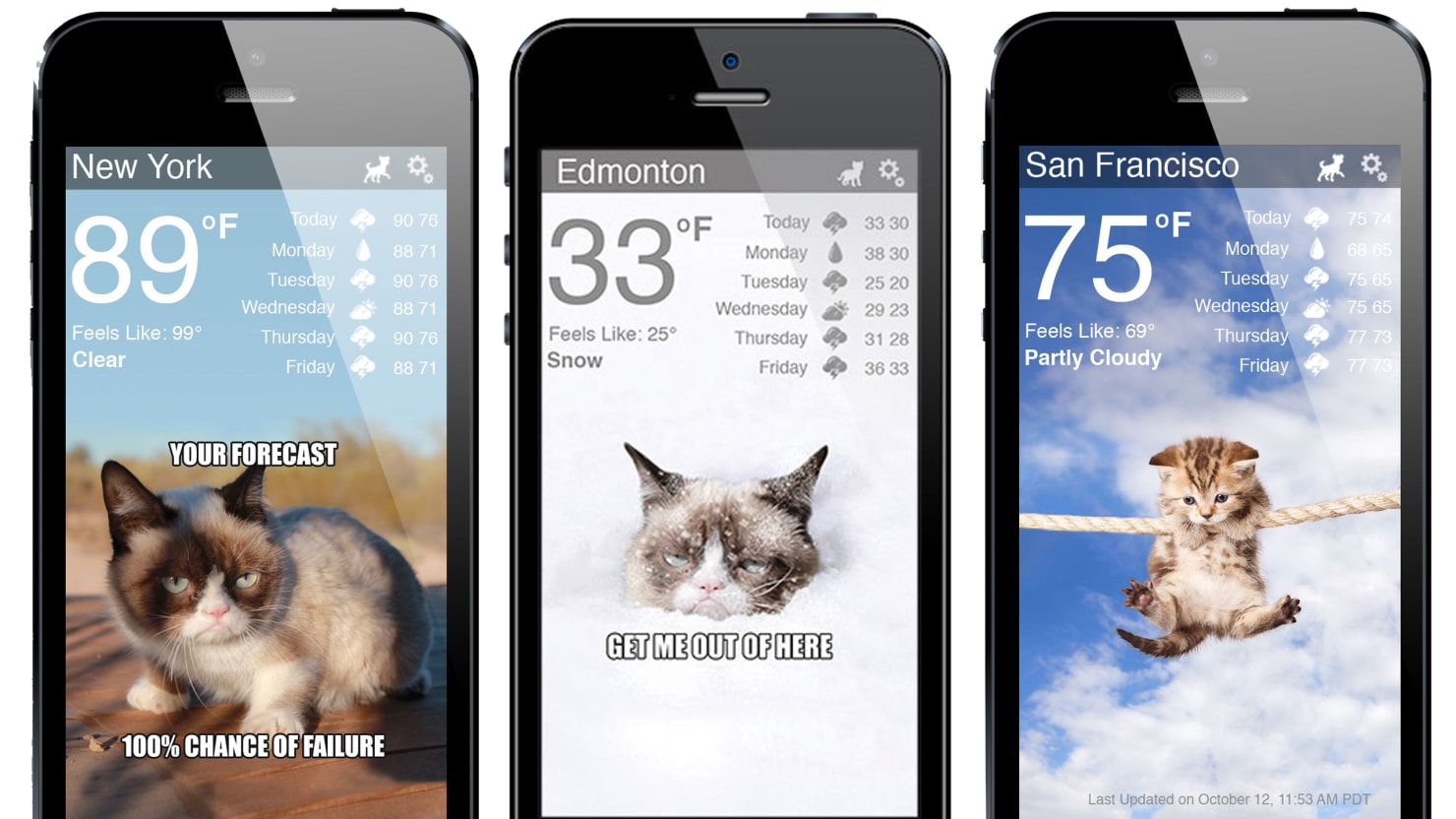 weather cat app