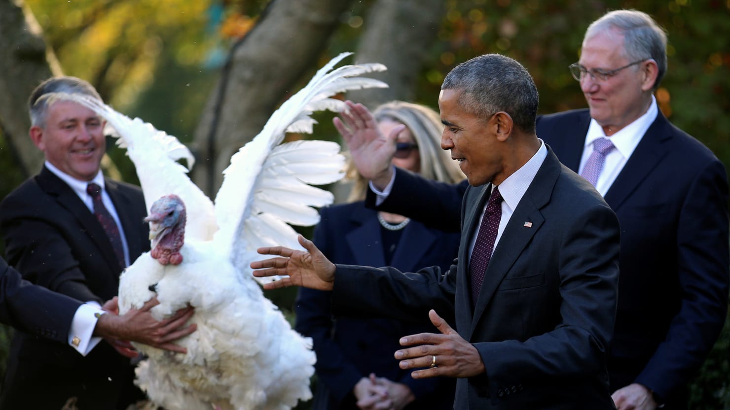 Barack Obama, Bill Cinton & More Presidential Turkey Pardons (Photos)