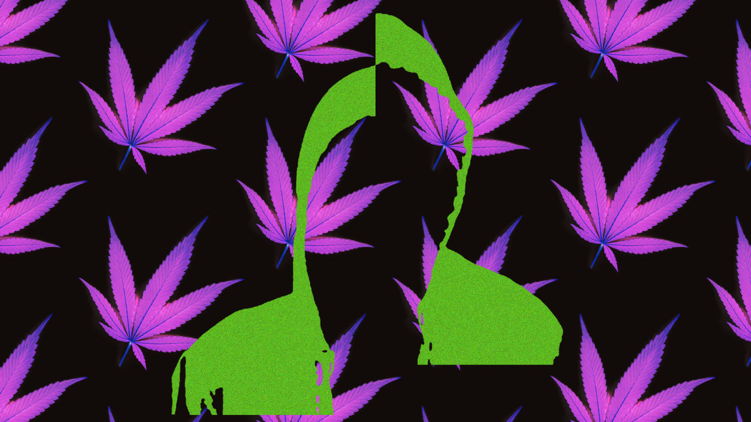 La rupture désordonnée derrière Cannabis Media Instagram The Blacklist
