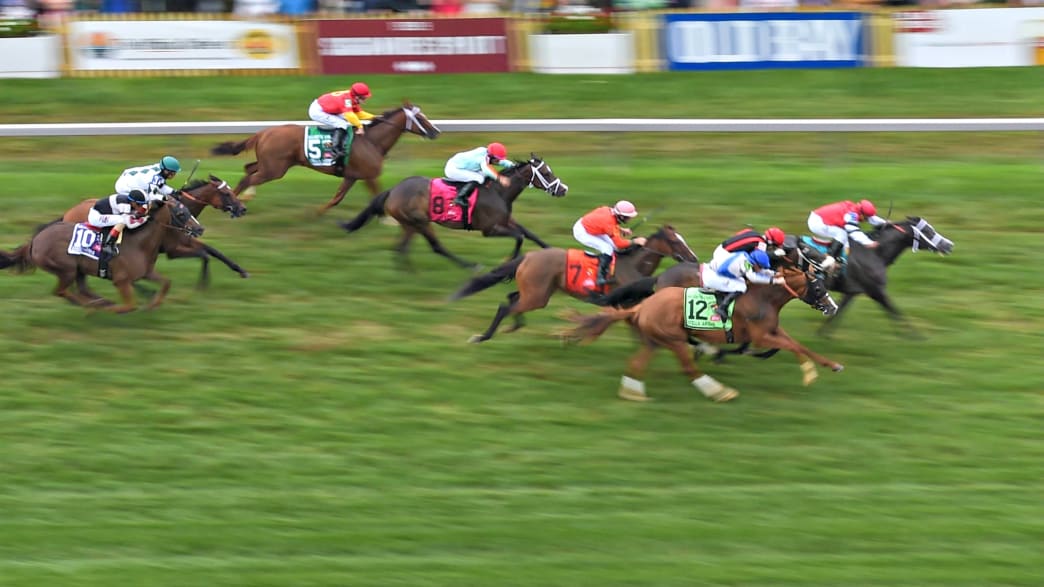 Who Won the Preakness Stakes Watch the Race Live Stream Online