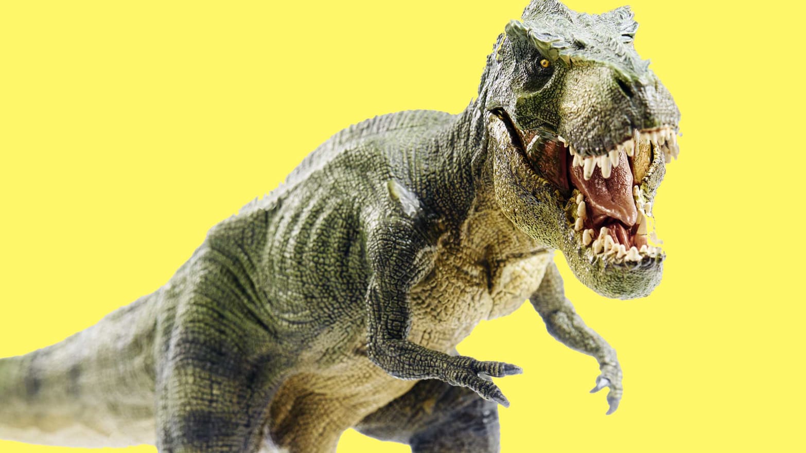 Why Dinosaurs Like T. Rex Evolved Tiny Little Arms - Science