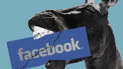 Democrats, Crack The Whip On Facebook
