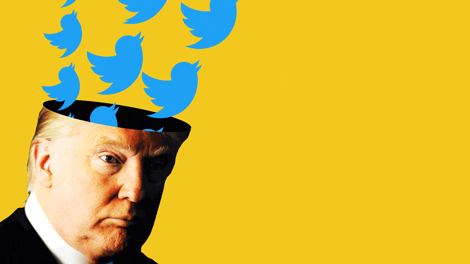 Image result for trump twitter