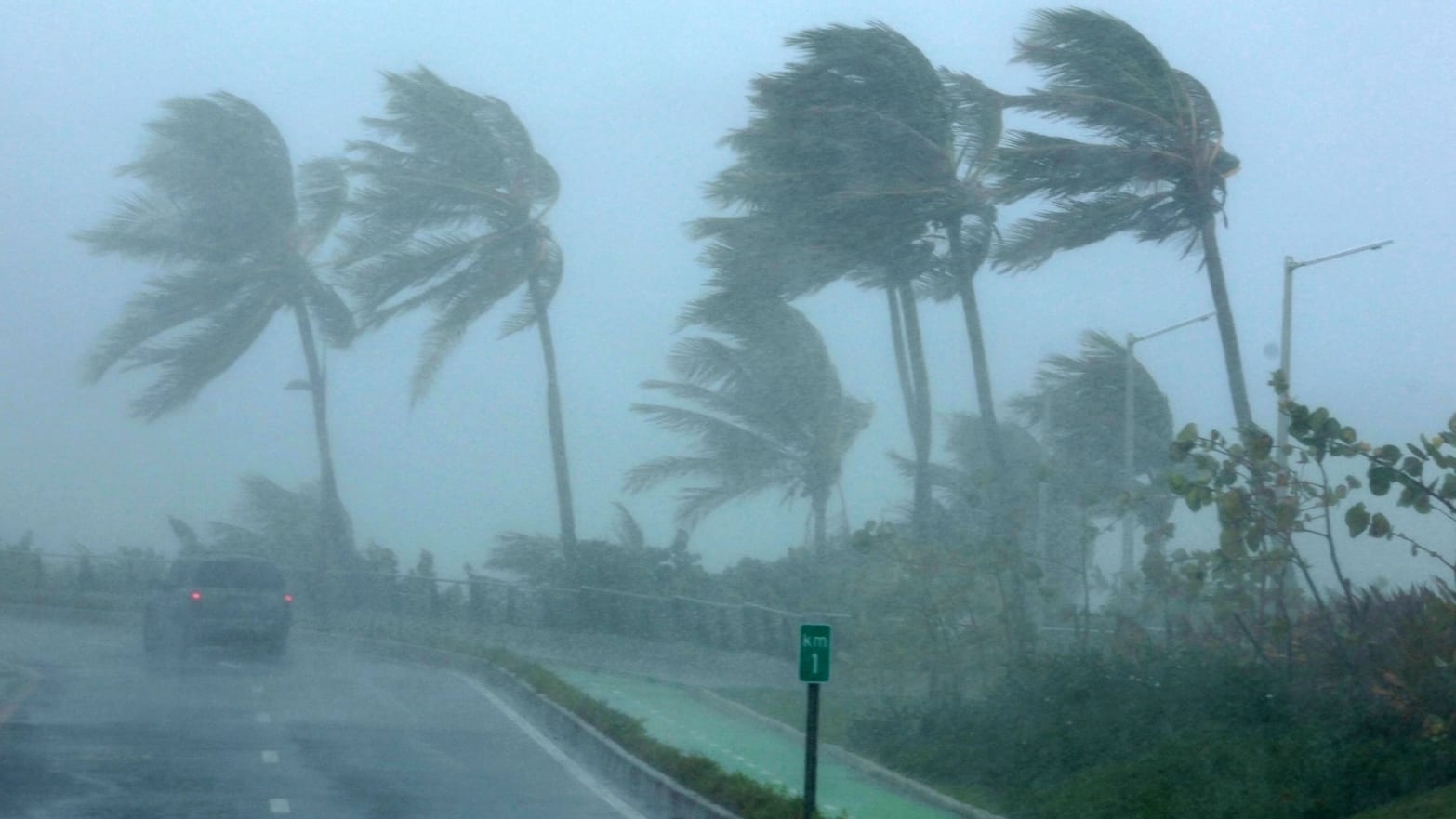Palm trees bend in the wind as Hurricane Irma slammed across islands in the northern Caribbean on Wednesday, in San Juan, Puerto Rico September 6, 2017.