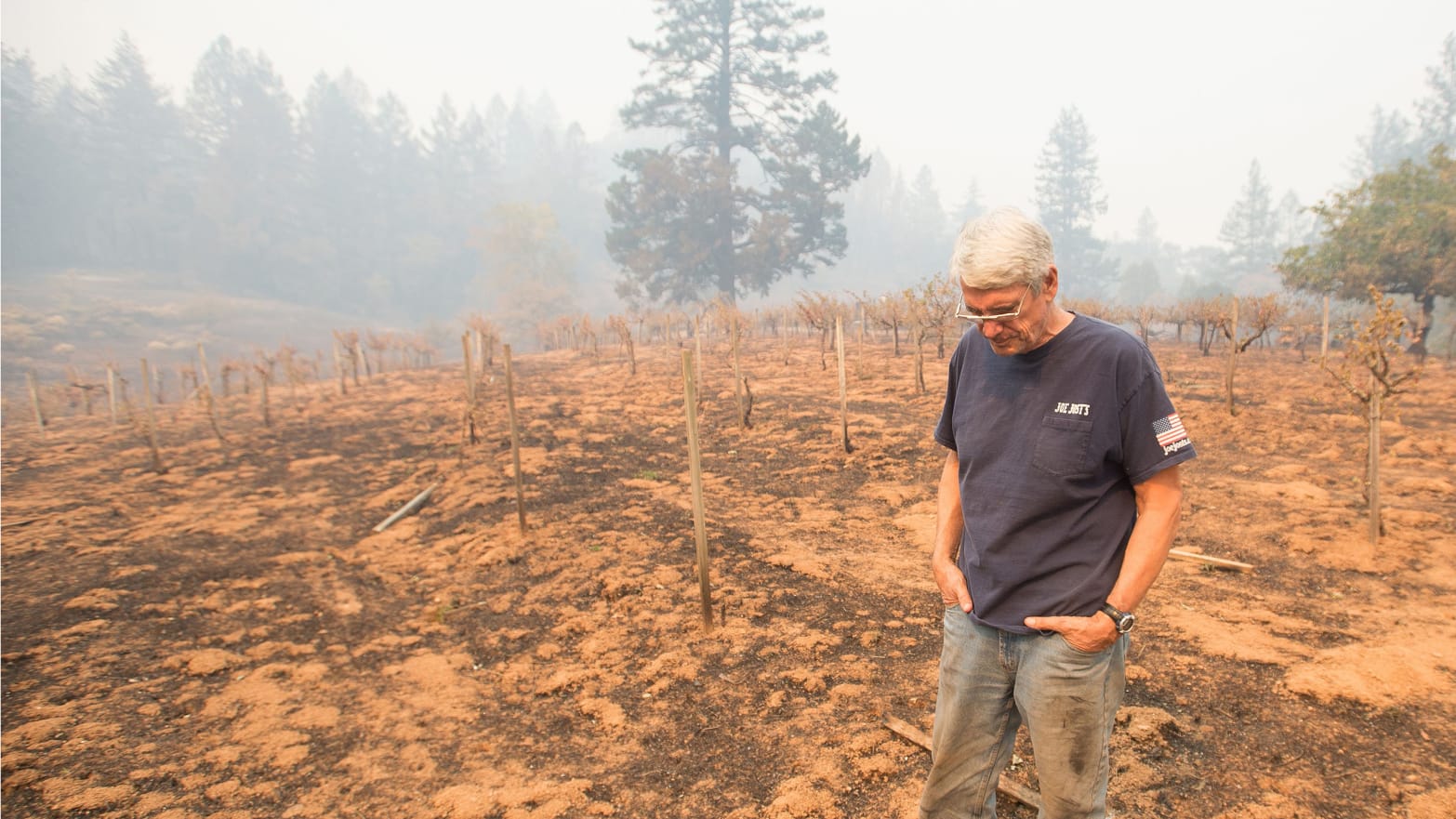 How Fire Has Shaped California’s Wine Industry