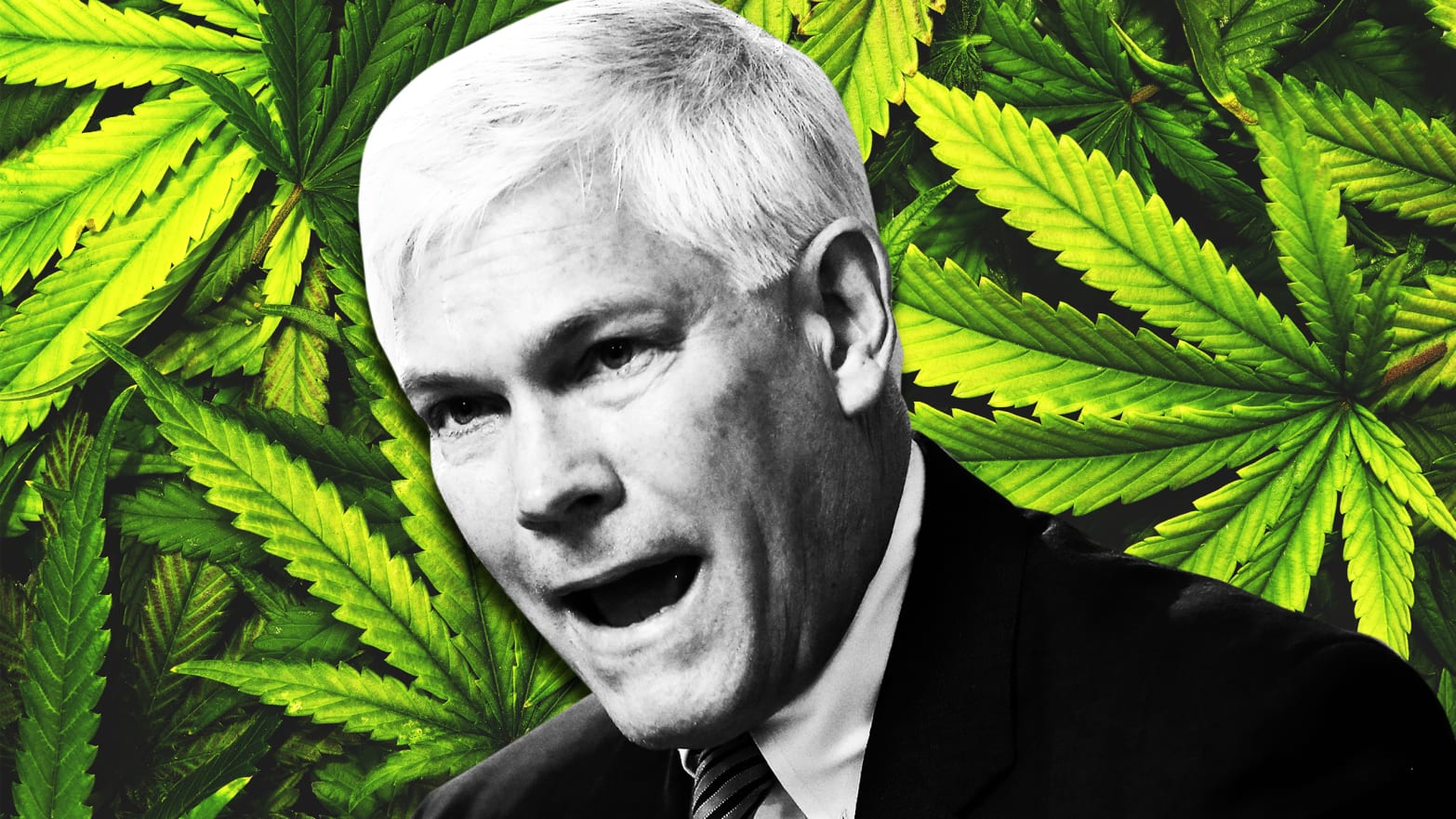 pete sessions colin allred medical marijuana november midterm election cannabis pot zartler mark christy cara autism autistic dcfs child protective services self injury