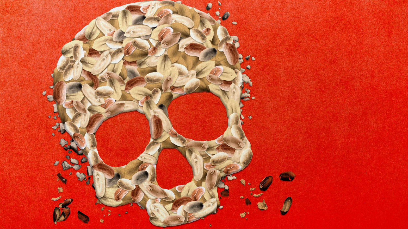 illustration of skull skeleton head made of peanuts peanut allergy