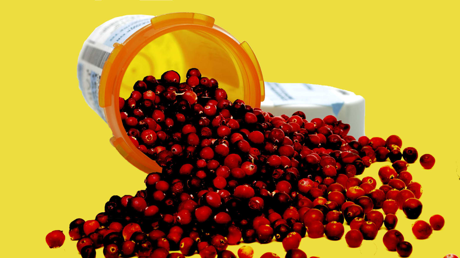 illustration of cranberries spilling out of a pill bottle cranberry juice uti urinary tract infection does it work thanksgiving canned jelly antibiotics