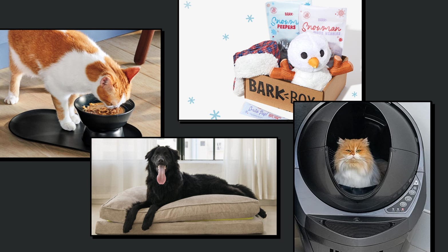 Gifts for Pets 2021
