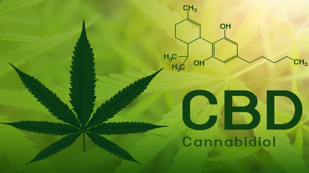 chemical symbol of cannabidiol cbd marijuana leaf in forefront green